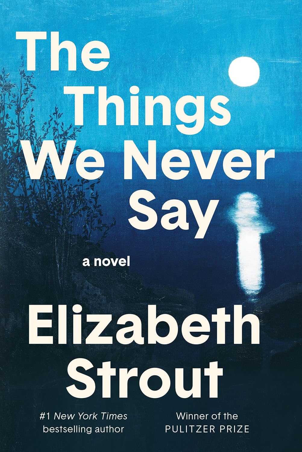 Ebook-The Things We Never Say